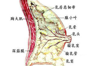 乳头溢液是乳腺癌的征兆吗